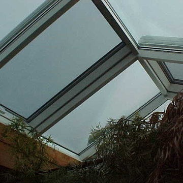 Ridge Skylight with Vertical and operable sections