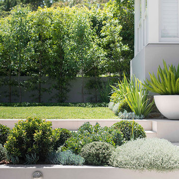 Garden design: Inner City