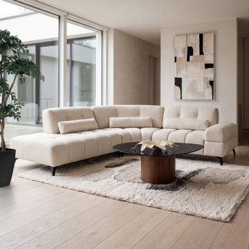 Ritzy Sectional Sofa