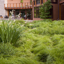 plantings