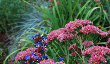 Fall Is Calling: What to Do in Your October Garden