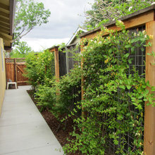 Landscaping ideas