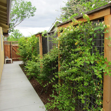 Miller Residence - Cambrian Park Neighborhood