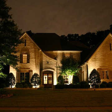 Collierville, TN Tree Lighting