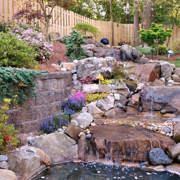 Brookhaven Back Yard