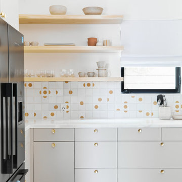 Venice Beach / Remodel