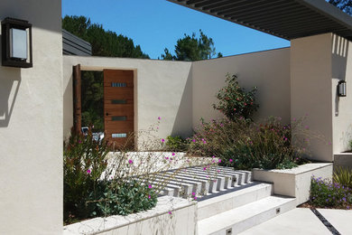 Mid-sized trendy backyard patio photo in San Francisco with a pergola