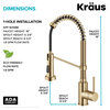 Bolden Commercial Style 2-Function Pull-Down 1-Handle 1-Hole Kitchen Faucet, Brushed Brass