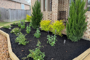 Beautiful Front Yard landscaping in Blackstone Canyon