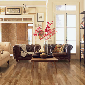 Living Room Scenes