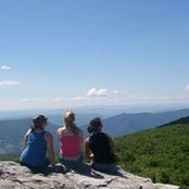 Liz Kring's photo
