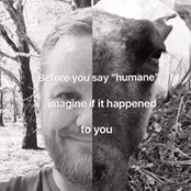 Ric Earnshaw's photo