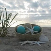 Christy Thrailkill's photo