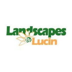 Landscapes By Lucin