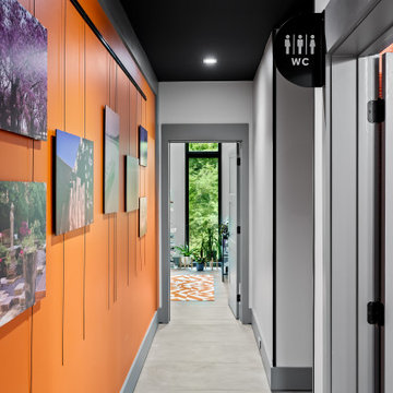 Wandering Oaks Modern