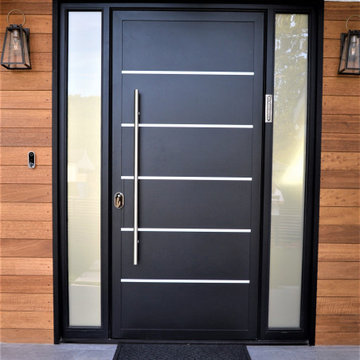 Electra Series Entry Door With 2 Sidelights