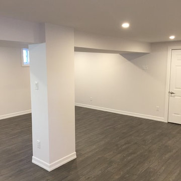 Rental Income Basement Remodel