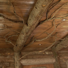 ceilings, beams and supports