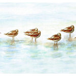 Betsy Drake - Avocets Door Mat 18x26 - These decorative floor mats are made with a synthetic, low pile washable material that will stand up to years of wear. They have a non-slip rubber backing and feature art made by artists Dick Hamilton and Betsy Drake of Betsy Drake Interiors. All of our items are made in the USA. Our small door mats measure 18x26 and our larger mats measure 30x50. Enjoy a colorful design that will last for years to come.