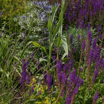 Prairie Style Planting