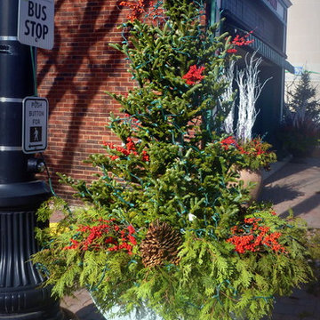Containers for the Winter Season