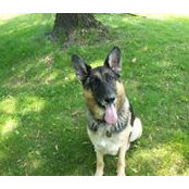 Sheila Mitchell's photo