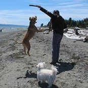 Erik Elmquist's photo