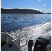 Robin Shively's photo