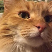 Kate Dombrowski's photo