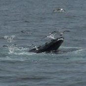 Carrie Stowell's photo
