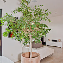 concrete floor