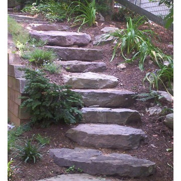 Shady side yard