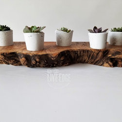 Live Edge Succulent Planters - Plate Stands And Hangers