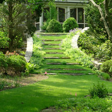 Landscape Ideas