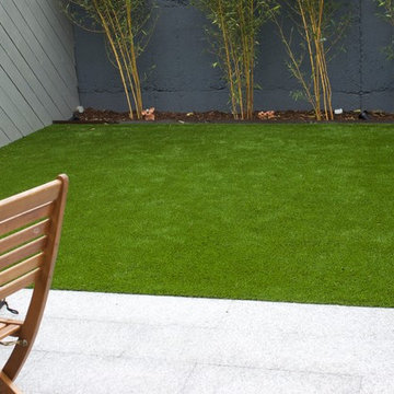 Artificial Grass in Rathmines Urban Garden