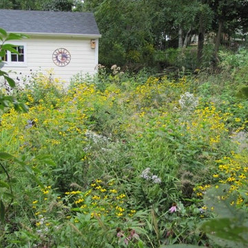 Native Landscape Ecological Restorations