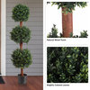 Set of 2 Hedyotis 5' Topiary Faux Trees, Weighted Pots Indoor or Porch Decor