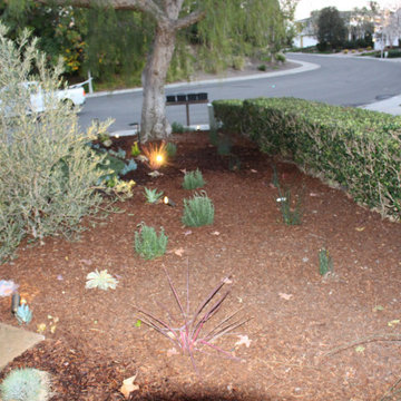 Landscape Lights