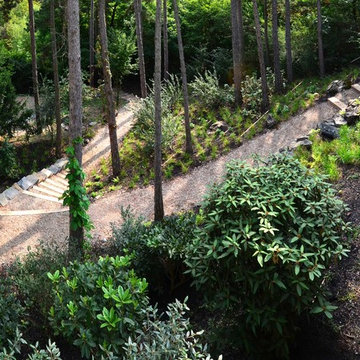 Forest garden in Prague