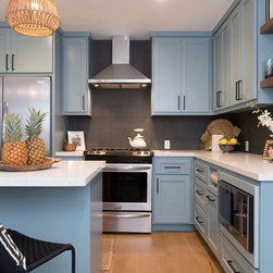 Benjamin Moore Paint Projects - Products