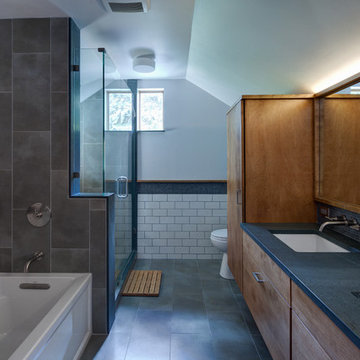 Oak Park Historic Remodel
