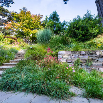 Grassy Meadow Oasis - Reduces Waste While Increasing Habitat