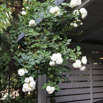Rosengarten