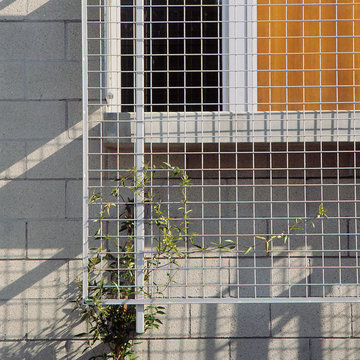 Screen Detail