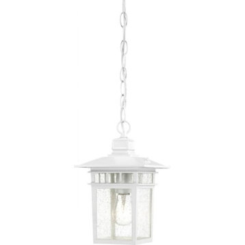 Transitional Cove Neck 1 Lgt Outdoor Hang, White Finish