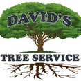 David's Tree Service, Inc.'s profile photo