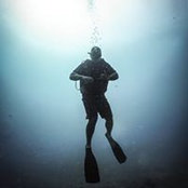 Kim Nguyen's photo