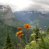 Dobrena Borisova's photo