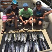 Susan McElhaney's photo