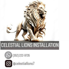 Celestial Lion’s Installation